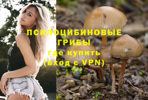 ГАЛЛЮЦИНОГЕННЫЕ ГРИБЫ Абинск
