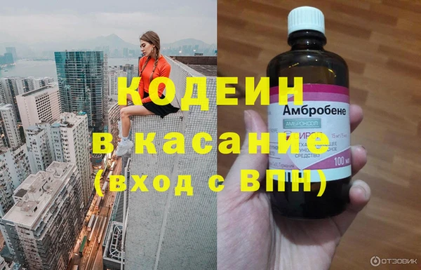 шишки Алексин