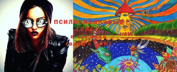стаф Абдулино