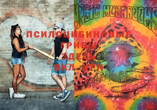 стаф Абдулино