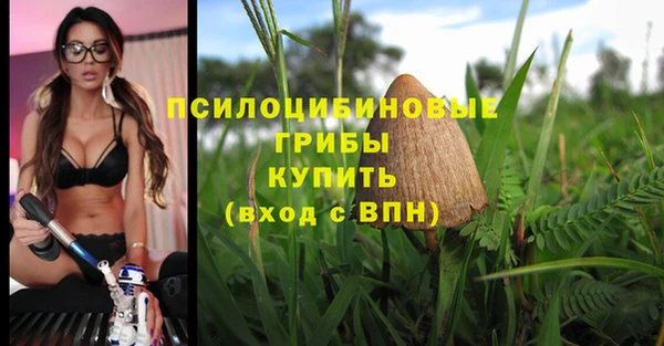 стаф Абдулино
