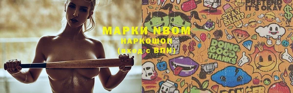 шишки Алексин