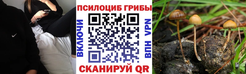 Галлюциногенные грибы мухоморы Смоленск